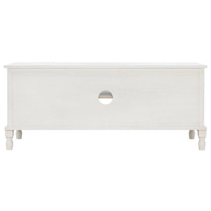 SAFAVIEH Ashlea 2 Door 1 Shelf Media Stand - 47 W x 16 D x 20 H - 47Wx16Dx20H